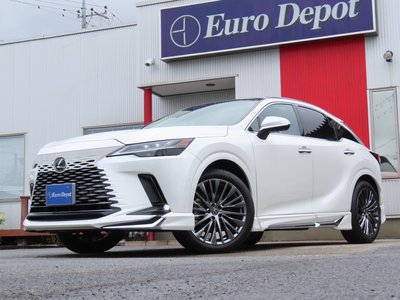 2023 Lexus RX thumbnail 81