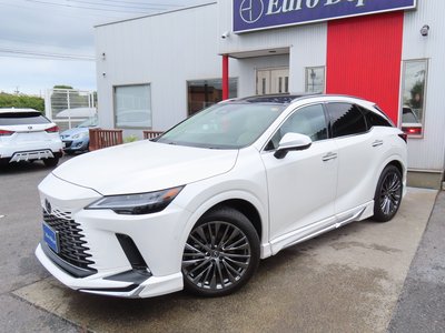 2023 Lexus RX thumbnail 27