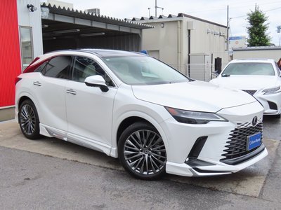 2023 Lexus RX thumbnail 29