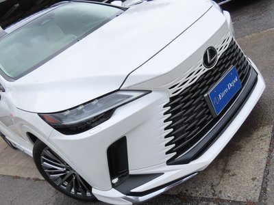 2023 Lexus RX thumbnail 31