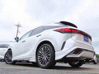 2023 Lexus RX thumbnail 45