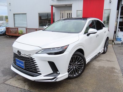 2023 Lexus RX thumbnail 28