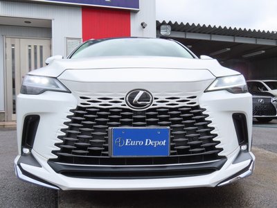 2023 Lexus RX thumbnail 32