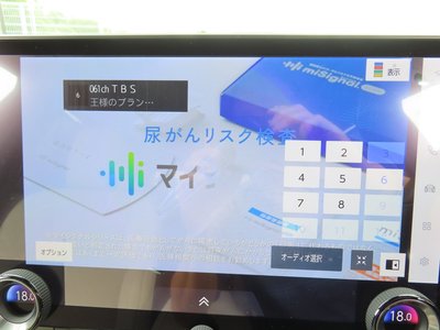 2023 Lexus RX thumbnail 76