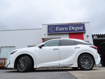 صورة 10 لـ 2023 Lexus RX