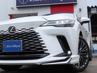 2023 Lexus RX thumbnail 24