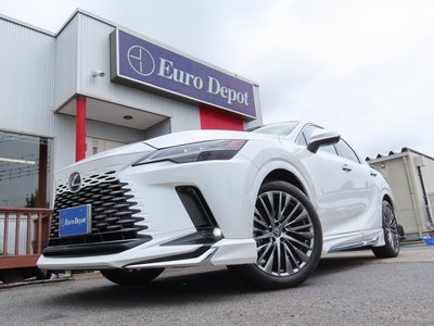 2023 Lexus RX thumbnail 23