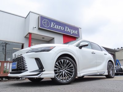 2023 Lexus RX thumbnail 22