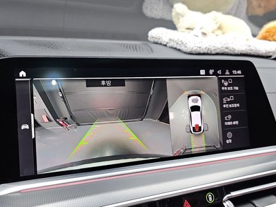 2020 BMW X6 — миниатюра 15