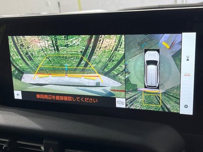 TOYOTA LAND CRUISER 250 - 6