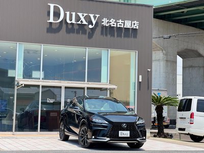 صورة 9 لـ 2025 Lexus RX