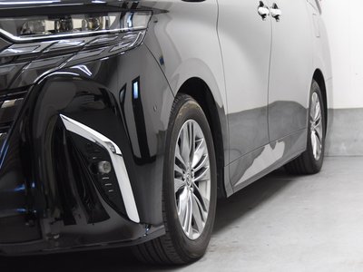 2024 Toyota ALPHARD 缩略图 30