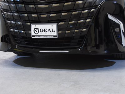 2024 Toyota ALPHARD 缩略图 19