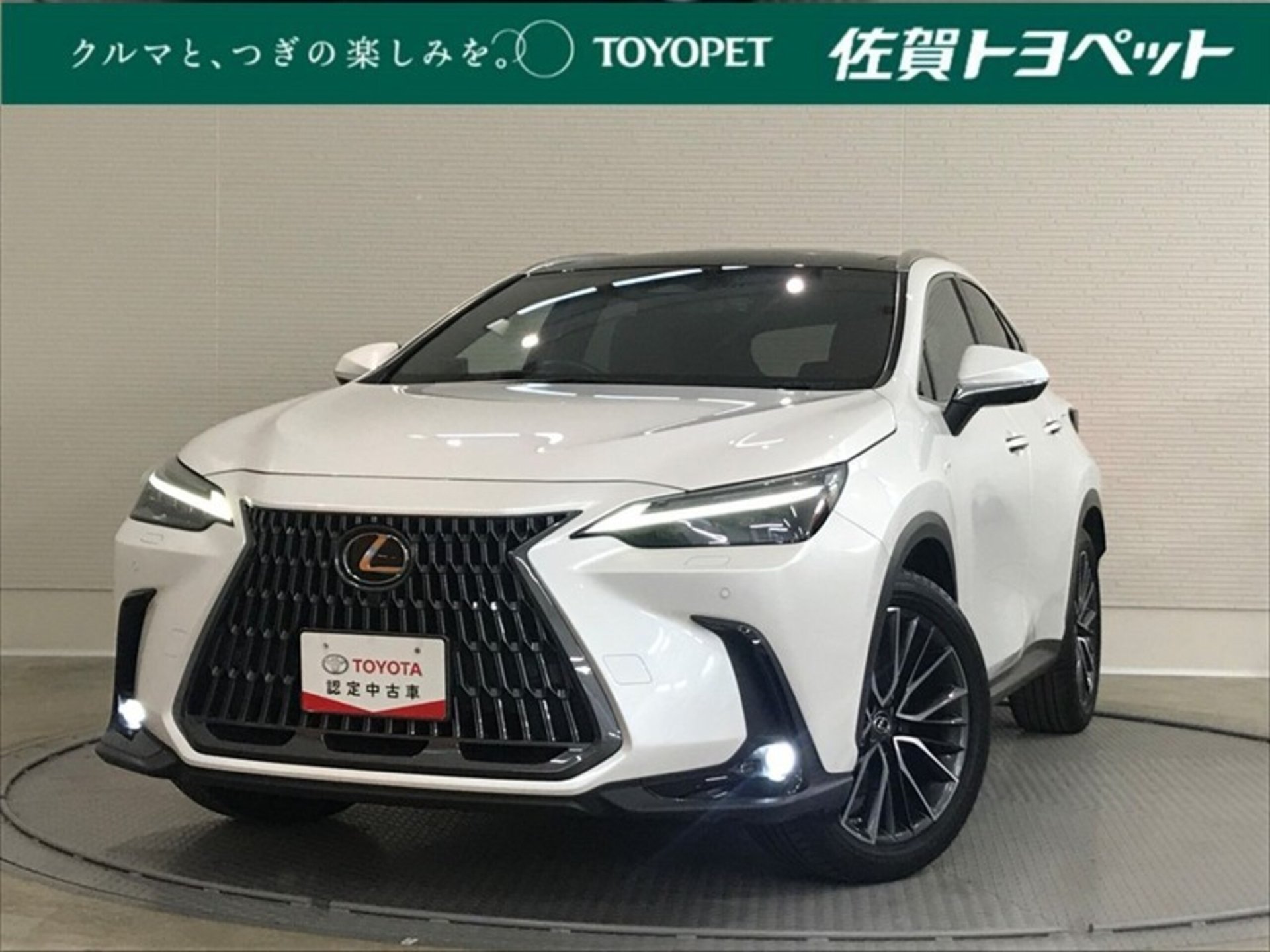 LEXUS NX - View 1