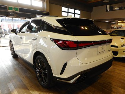 LEXUS RX - 9