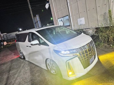 2021 Toyota ALPHARD 缩略图 51
