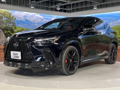2024 Lexus NX — миниатюра 24