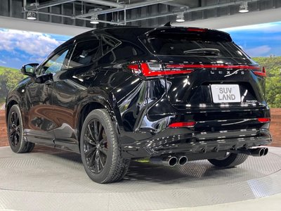 2024 Lexus NX — миниатюра 25