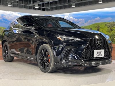 2024 Lexus NX — миниатюра 17