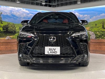 2024 Lexus NX — миниатюра 15