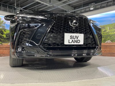 2024 Lexus NX 照片 5