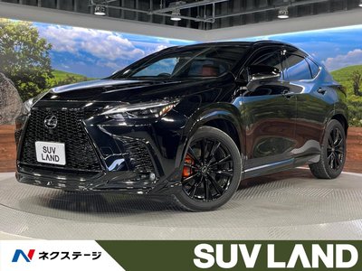 2024 Lexus NX 照片 1