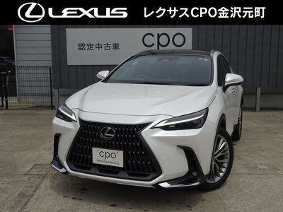 LEXUS NX - 1