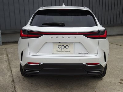 LEXUS NX - 8