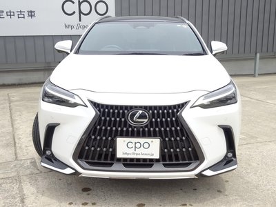 LEXUS NX - 5