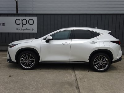 LEXUS NX - 6