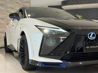 2024 Lexus RZ thumbnail 11