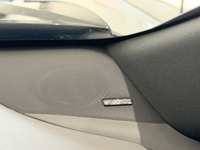 2024 Lexus RZ thumbnail 57