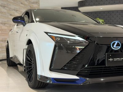 2024 Lexus RZ 照片 10