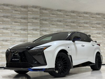 2024 Lexus RZ 照片 1