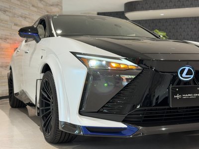 2024 Lexus RZ thumbnail 12