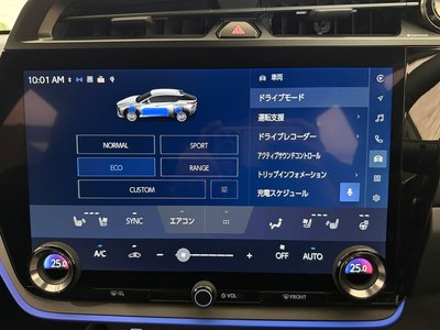2024 Lexus RZ thumbnail 46
