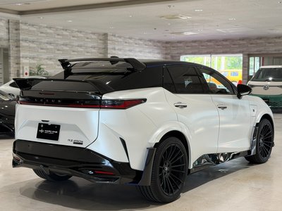 2024 Lexus RZ thumbnail 13