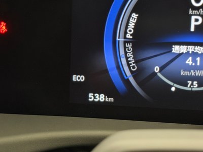2024 Lexus RZ thumbnail 38