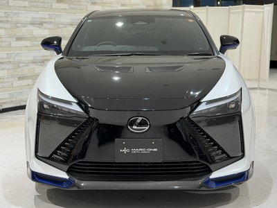 2024 Lexus RZ 照片 7