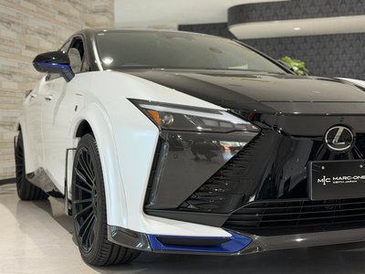 2024 Lexus RZ 照片 9