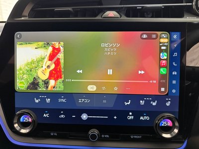2024 Lexus RZ thumbnail 53