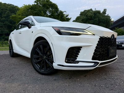 صورة مصغرة 18 لـ 2023 Lexus RX