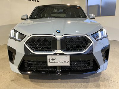 BMW X2 - 10