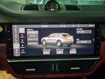 PORSCHE CAYENNE - 10