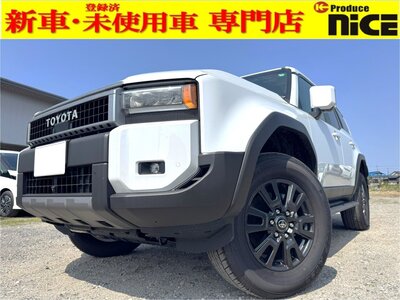 TOYOTA LAND CRUISER 250