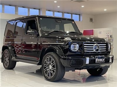 MERCEDES-BENZ G-CLASS - 4