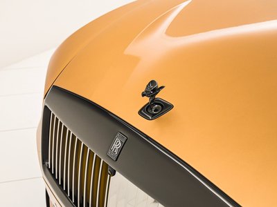 صورة مصغرة 46 لـ 2025 ROLLS-ROYCE SPECTRE