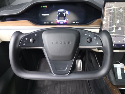 2023 Tesla MODEL X 缩略图 21