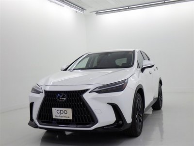LEXUS NX - 1
