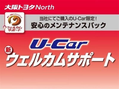 TOYOTA LAND CRUISER 250 - 2